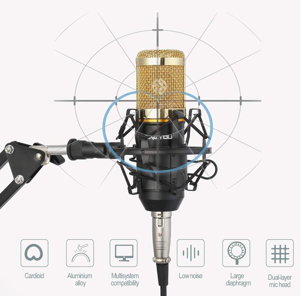 TOLEAP Microphone